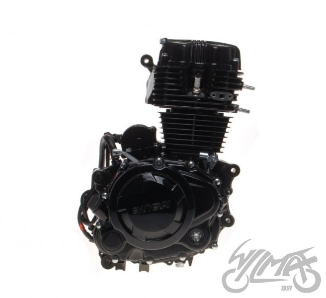 Motor SHINERAY ATV 250 STXE