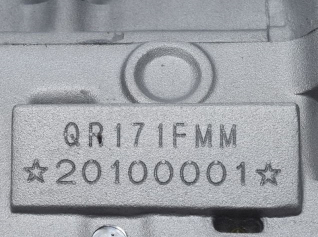 Motor Bashan BS250S-5