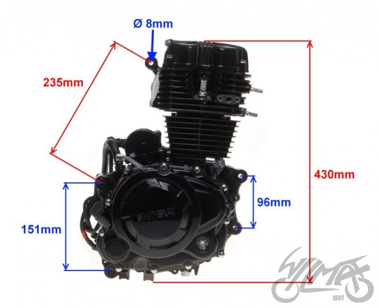 Motor SHINERAY ATV 250 STXE